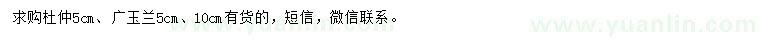 求購(gòu)5公分杜仲、5、10公分廣玉蘭