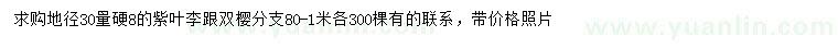 求購(gòu)地徑30量硬8公分紫葉李跟、雙櫻