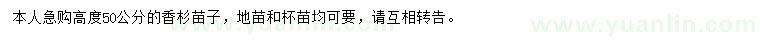 求購(gòu)高50公分香杉苗