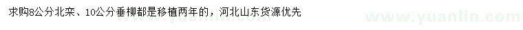 求購8公分北欒、10公分垂柳