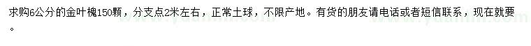 求購6公分金葉槐