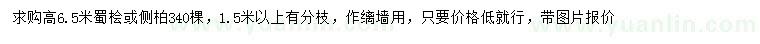 求購高6.5米蜀檜或側(cè)柏