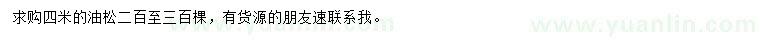 求購(gòu)4米油松
