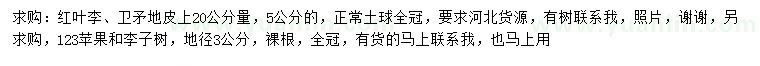 求購紅葉李、衛(wèi)矛、123蘋果等