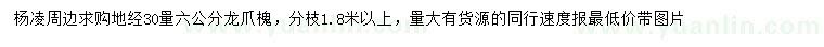 求購地徑30量六公分龍爪槐