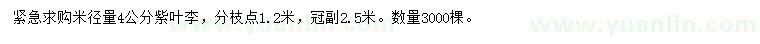 求購米徑4公分紫葉李