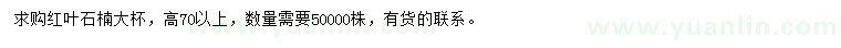求購(gòu)高70公分以上紅葉石楠