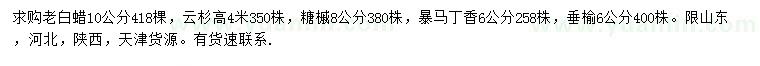 求購白蠟、云杉、糖槭等