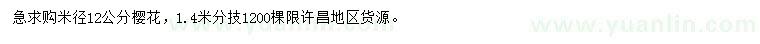 求購米徑12公分櫻花