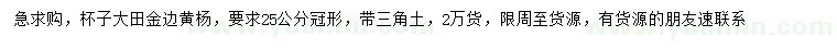 求購冠25公分金邊黃楊