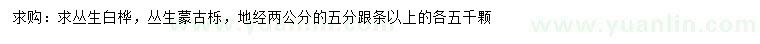 求購(gòu)叢生白樺、叢生蒙古櫟