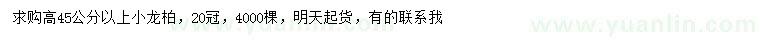 求購(gòu)高45公分以上小龍柏