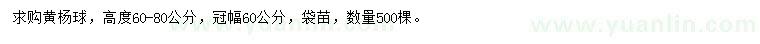 求購冠幅60公分黃楊球