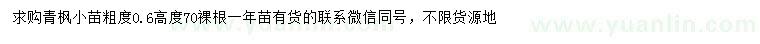 求購粗度0.6公分青楓小苗