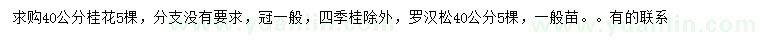 求購40公分桂花、羅漢松