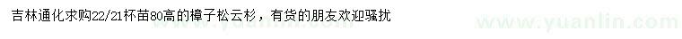 求購(gòu)高80公分樟子松、云杉