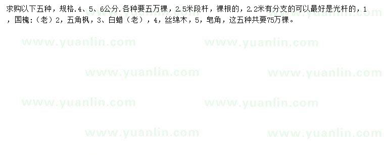 求購(gòu)國(guó)槐、五角楓、白蠟等
