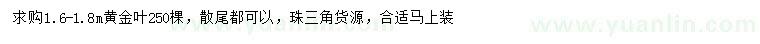 求購1.6-1.8米黃金葉