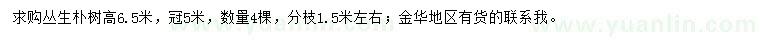 求購(gòu)高6.5米叢生樸樹
