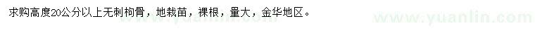 求購高20公分以上無刺枸骨