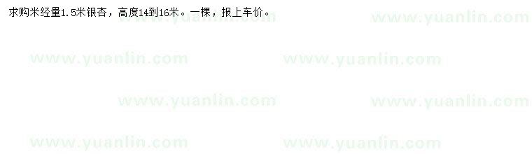 求購米徑1.5米銀杏