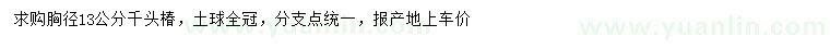 求購(gòu)胸徑13公分千頭椿