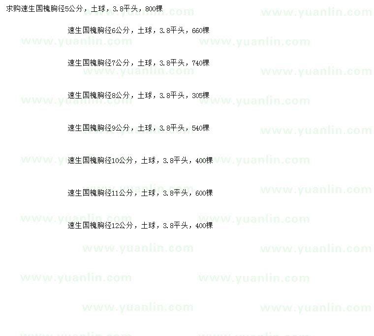 求購胸徑5、6、7、8、9、10、11、12公分速生國槐