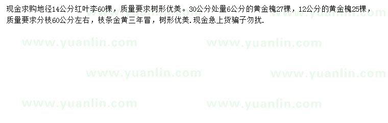 求購地徑14公分紅葉李、30公分量6、12公分黃金槐