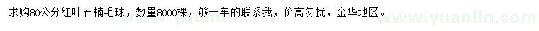 求購(gòu)80公分紅葉石楠毛球