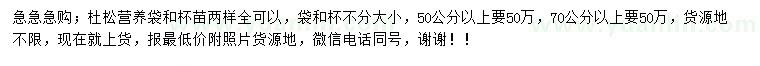 求購50、70公分以上杜松