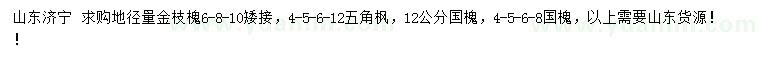 求購金枝槐、五角楓、國槐