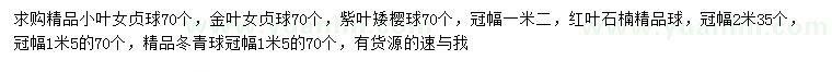 求購小葉女貞球、金葉女貞球、紫葉矮櫻球等