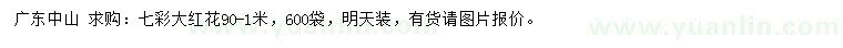 求購90-100公分七彩大紅花