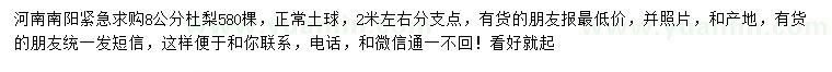 求購8公分杜梨