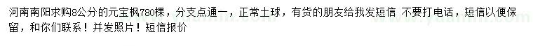 求購8公分元寶楓