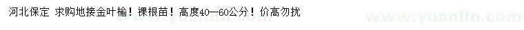 求購高度40-60公分地接金葉榆