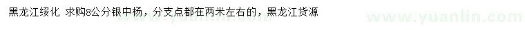 求購8公分銀中楊