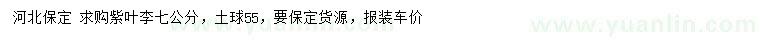 求購7公分紫葉李
