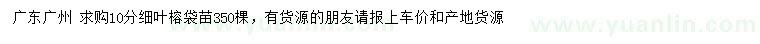 求購10公分細(xì)葉榕