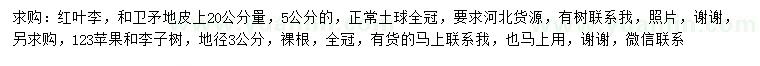 求購紅葉李、衛(wèi)矛、李子樹等
