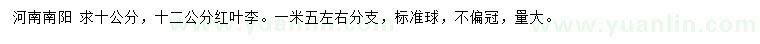 求購(gòu)10、12公分紅葉李