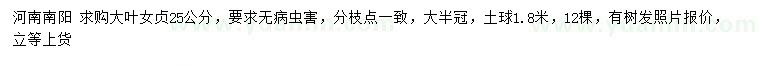 求購25公分大葉女貞