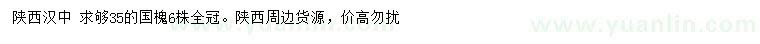 求購35公分國槐