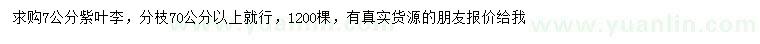 求購7公分紫葉李
