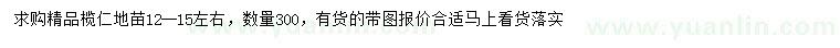 求購12-15公分欖仁