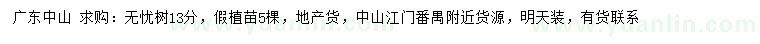 求購13公分無憂樹
