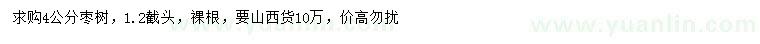 求購4公分棗樹