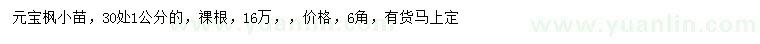 求購(gòu)30處量1公分元寶楓小苗