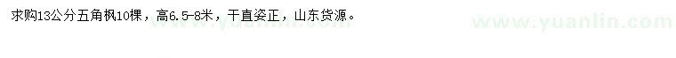求購13公分五角楓