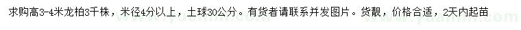 求購(gòu)高3-4米龍柏